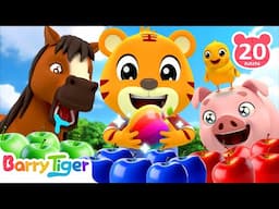 Fun Farm Animals🐷🐔 | Farm Songs, Animal Kids Songs, Nursery Rhymes | BarryTiger
