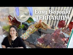 Easy DIY Begonia Terrarium for Beginners