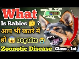What is Rabies 🤔 ? डॉग में रेबीज क्या होता है ? || Rabies Seris - 1st || Zoonotic Disease Of Dogs