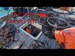 Delivering Our Catch! | Finishing Up The First Rockfish Trip