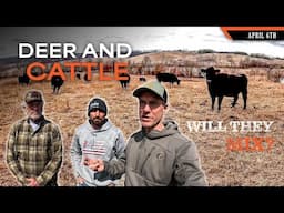 Will Deer and Cattle Mix? - Improve Hunting on a Cattle Farm | Dream Farm w/ Bill Winke