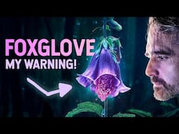 Nobody Knew this about Foxglove Until Recently!