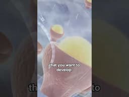 What If You Could Control Your Dreams?