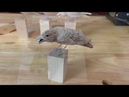 1x1 Carving of a Crow