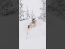 🌨️ I’ll Take a Side of Powder Please ❄️ #freeheellife #spreadtelemark #skiing