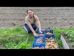 Plant Potatoes with Me | Sharing Helpful Tips