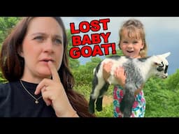 Searching for the Lost Baby Goat!!