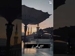 Status Video - Hum Ko Bulana Ya Rasool Allah ﷺ - Hafiz Tahir Qadri