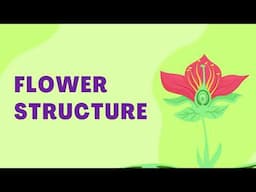 Parts of flower | Structure of flower | Botany floral parts