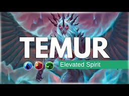 The Obscure Philosophy of Temur