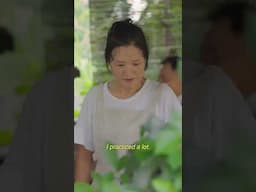 Korean Family in Philippine Province Harvesting Lettuce from Our Garden and Cook Lumpiang Sariwa