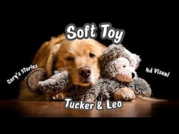 Fun Bedtime Story | Tucker & Leo - Soft Toy