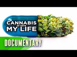 Cannabis to Save My Life (2016) | Full Documentary | Patricia Crone | Jon Gettman | Allyn Howlett