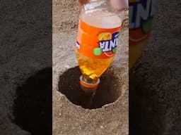 Experiment Fanta And Mentos