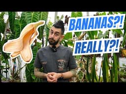 🤯 Viral Plant Hacks EXPOSED: What Works & What’s BS!