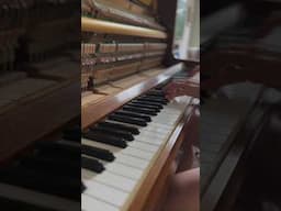 Quiet reflective piano piece - Owl Feather