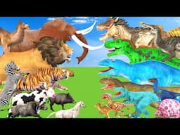 Modern Mammals vs Dinosaurs Size Comparison The Toughest of All Wild Animals vs TRex Dinosaur Battle