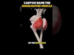 Human Muscle Quiz challenge: Test your anatomy knowledge #anatomy