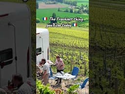 Winning at life the French way…nothing more amazing then a meal with friends in such  setting!