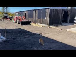 Living Off Grid In Scotland April update, everything is breaking 😠 #offgrid #offgridlivinguk