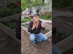 How to Get an Early Harvest of Potatoes