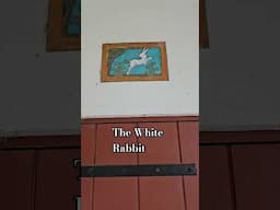 Exit The Matrix? 🐇 #libra #tarotreader #jekyllisland