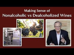 Non-alcoholic, Dealcoholized, or Traditional Wines: Which is Best?
