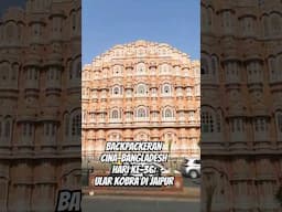 Ular Kobra & Hawa Mahal di Jaipur! 😱🐍 | Hari ke-36 Tanpa Pesawat