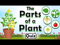 Parts of a Plant Quiz for Kids | Fun Animated Plant Parts Revealing Their Functions!
