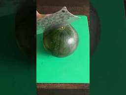 Watermelon cutting skills #short