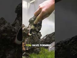 The Secret to Tough Cleanups