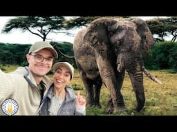 What I Eat In A Day | Vegan | 5 Day Kenya Safari