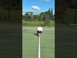 Bulls Eye #tennis #stunt