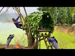 Full Video: Build different shelters to survive the night in the wild forest