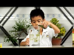 5 Easy STEM Activities for Kids