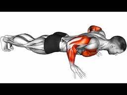 Push-Up Variations Easy to Hard