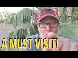 THE ULTIMATE JOSHUA TREE ESCAPE (2025) Best Desert Art Town