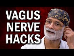 Why Vagus Nerve Stimulation is Crucial – Hacks for Instant Results