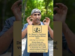 Stray dog free Delhi ka sach #peepalfarm