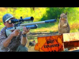 POWERFUL Airguns vs Ground Squirrels!