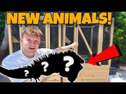 BUYING NEW EXOTIC ANIMALS!