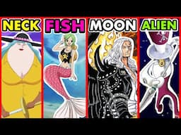 One Piece Lore: All 37 Races EXPLAINED!