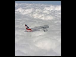 AAdvantage New Program Year Bonus Offer