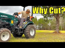 Can A Compact Tractor Pull Out a Tree By The Roots?