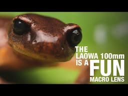 The Laowa 100mm Is a Fun Macro Lens