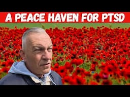 A PEACE HAVEN for PTSD & Another friend is LEAVING