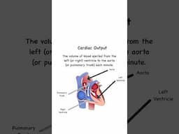 Cardiac Output and Stroke Volume Explained in 75 seconds