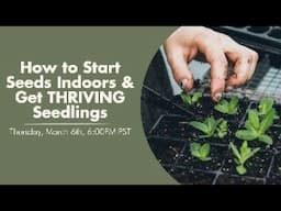How to Start Seeds Indoors & Get THRIVING Seedlings