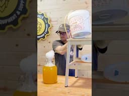 Orange Wine Taste Test 🍊