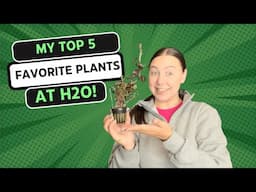 My TOP 5 Favorite Plants at H2O!